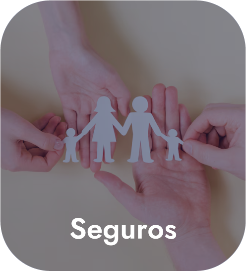 Industria Seguros